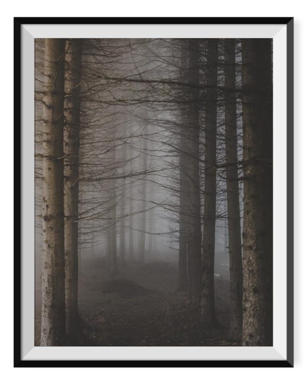 The Journey to The Nature